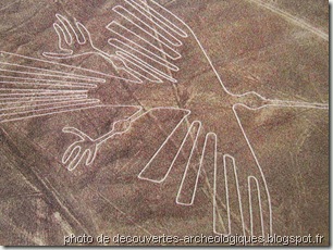 zoom sur Nasca_Condor-motif nazca perou     