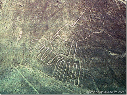 motif nazca perou