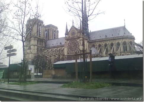 notre dame de paris - www.wonderful-art.fr