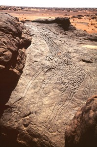 Photo: http://africanrockart.org