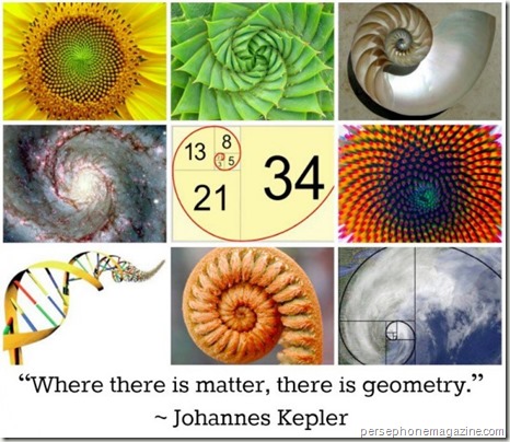 Fibonacci spirals - www.wonderful-art.fr