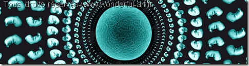 Mandala contemporain avec imagerie médicale-wonderful-life-cycle de la création-helene goddyn-www.wonderful-art.fr