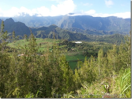 salasie-ile-de-la-reunion