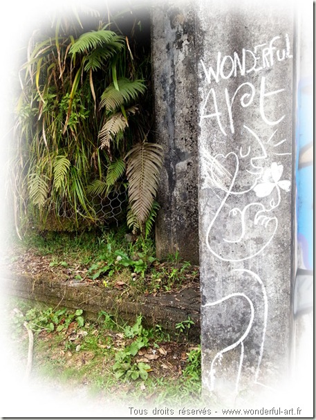 street-art-craie-wonderful-art-ile-de-la-reunion-takamaka1