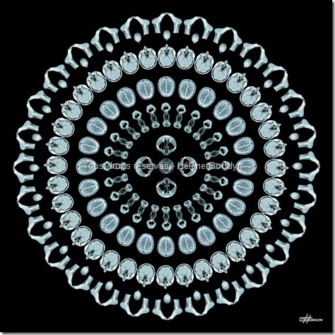 MANDALA mystique_art et radiographies_art et radiologie_art humain_art du corps_helene goddyn_wonderful art