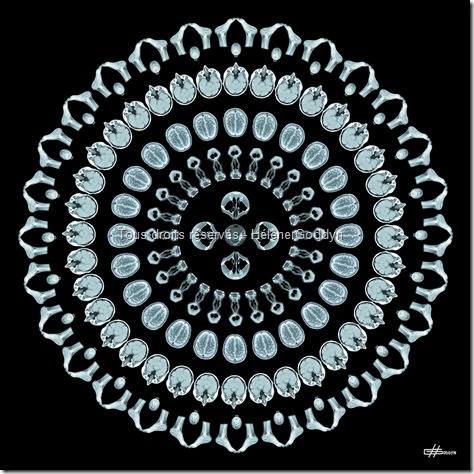 MANDALA mystique_art et radiographies_art et radiologie_art humain_art du corps_helene goddyn_wonderful art