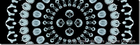 MANDALA mystique_art et radiographies_art et radiologie_art humain_art du corps_helene goddyn_wonderful art