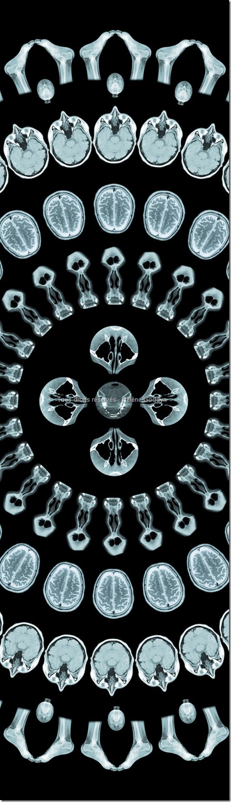 MANDALA mystique_art et radiographies_art et radiologie_art humain_art du corps_helene goddyn_wonderful art