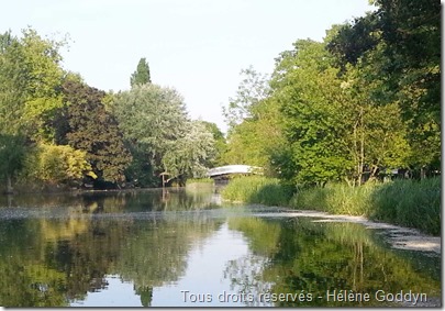 lac des ibis_le vésinet_Paris