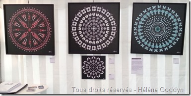 Helene goddyn_art et médecine_art et radiologie_art numérique_mandala humain_association oeil neuf_le village des arts_le vésinet_exposition Paris_wonderful art