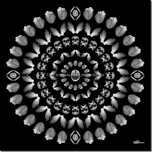 Mandala_mandala humain_radio_radiographie_art et médecine_méditation_hélène goddyn_wonderful art_art contemporain_Céleste