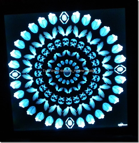 Mandala_mandala humain_radio_radiographie_art et médecine_méditation_hélène goddyn_wonderful art_art contemporain_Céleste