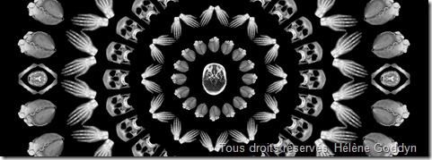 Mandala_mandala humain_radio_radiographie_art et médecine_méditation_hélène goddyn_wonderful art_art contemporain_Céleste