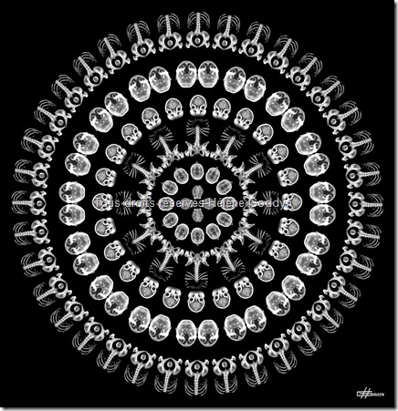 Mandala_art sacré_art sacré contemporain_art et médecine_radiographie_mandala humain_mandala voyage_helene goddyn_wonderful art