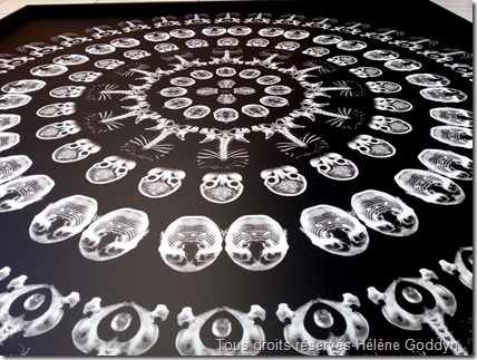 Mandala_art sacré_art sacré contemporain_art et médecine_radiographie_mandala humain_mandala voyage_helene goddyn_wonderful art