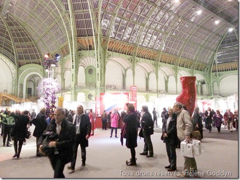 art-en-capital_grand-palais_france_champs-elysées_helene-goddyn_wonderful-art_vernissage