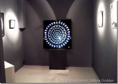 Galerie-Arielles-d'hauterives_découvertes-hivernales_2015_helene-goddyn_mandala-humain_art_médecine_light-box