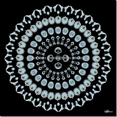 Concours Art&Care, sous la co-présidence d’Olivier Picasso et du Dr Georges Rodesch. Le Prix Philips-Arstper, a été décerné  par les dirigeants de Philips & Artsper à Hélène Goddyn pour son Mandala Humain "Mystique", le 2 avril 2015 au Palais de Tokyo, Paris. 