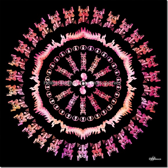 Mandala-Humain_Imagine_helene-Goddyn_www.wonderful-art.fr_art-et-science_entier