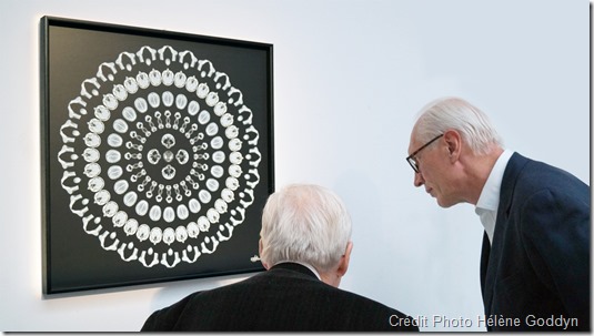 Concours Art&Care, sous la co-présidence d’Olivier Picasso et du Dr Georges Rodesch. Le Prix Philips-Arstper, a été décerné  par les dirigeants de Philips & Artsper à Hélène Goddyn pour son Mandala Humain "Mystique", le 2 avril 2015 au Palais de Tokyo, Paris. 